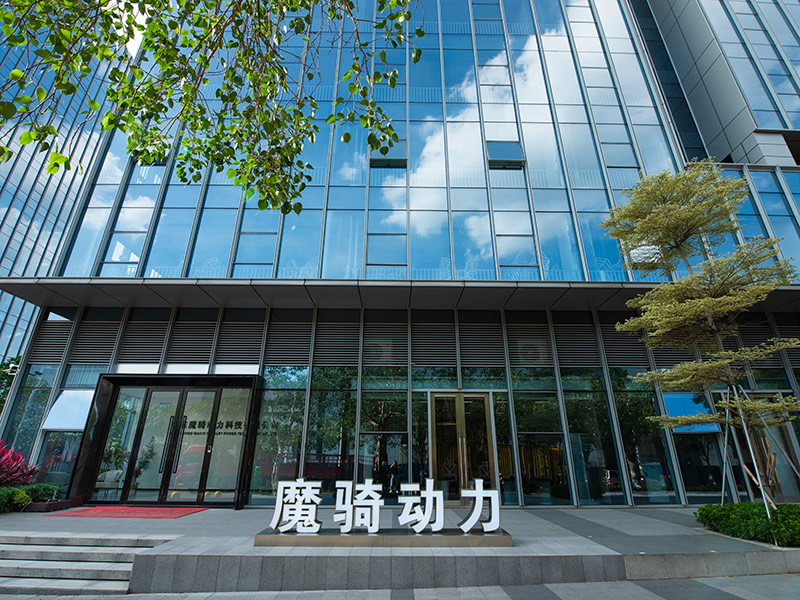 Vision of the company building